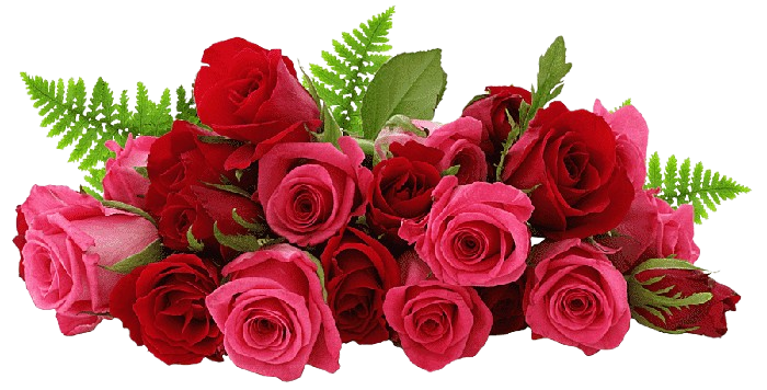 Roses