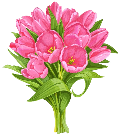 Tulip